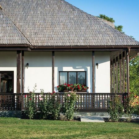 Pensiunea Tara Fagilor Suceava Ngoại thất bức ảnh