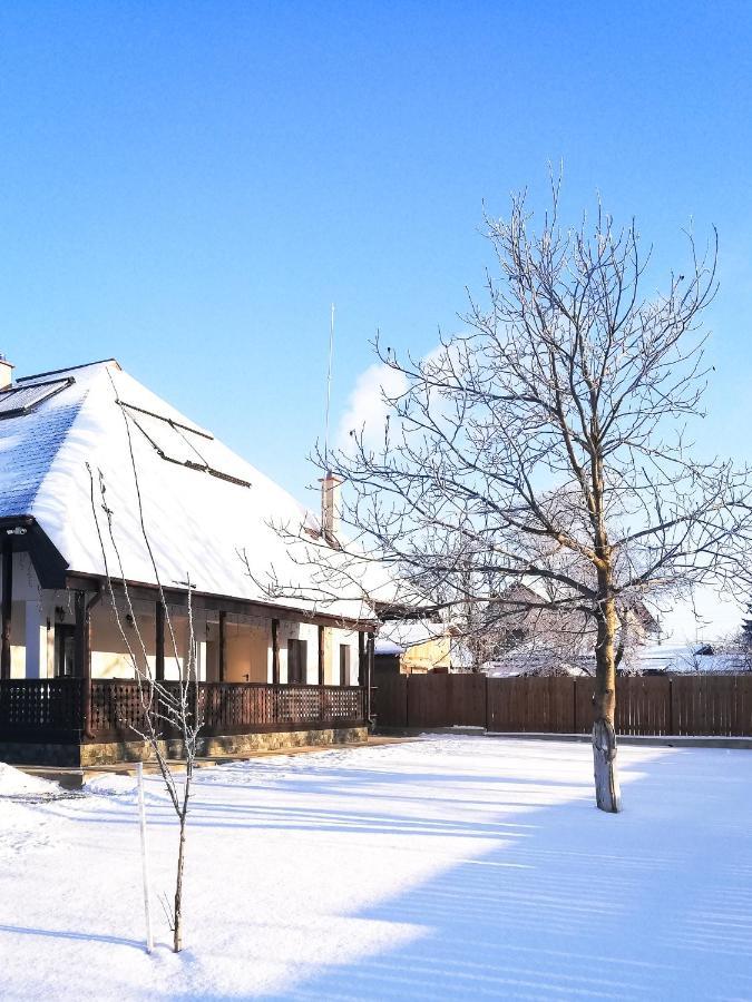 Pensiunea Tara Fagilor Suceava Ngoại thất bức ảnh